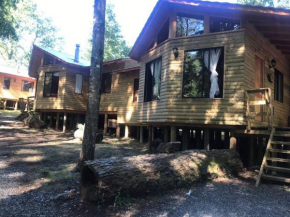 Cabañas viña ojen la niña número 3